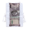 New Five Hundred 500 Indian Rupees Currency Note Kids Fancy Dress Costume