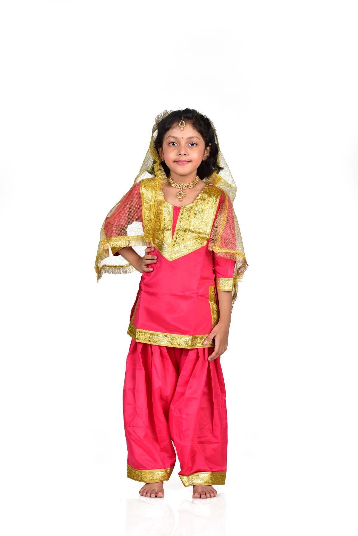 Classical Dance Costume Rental Services