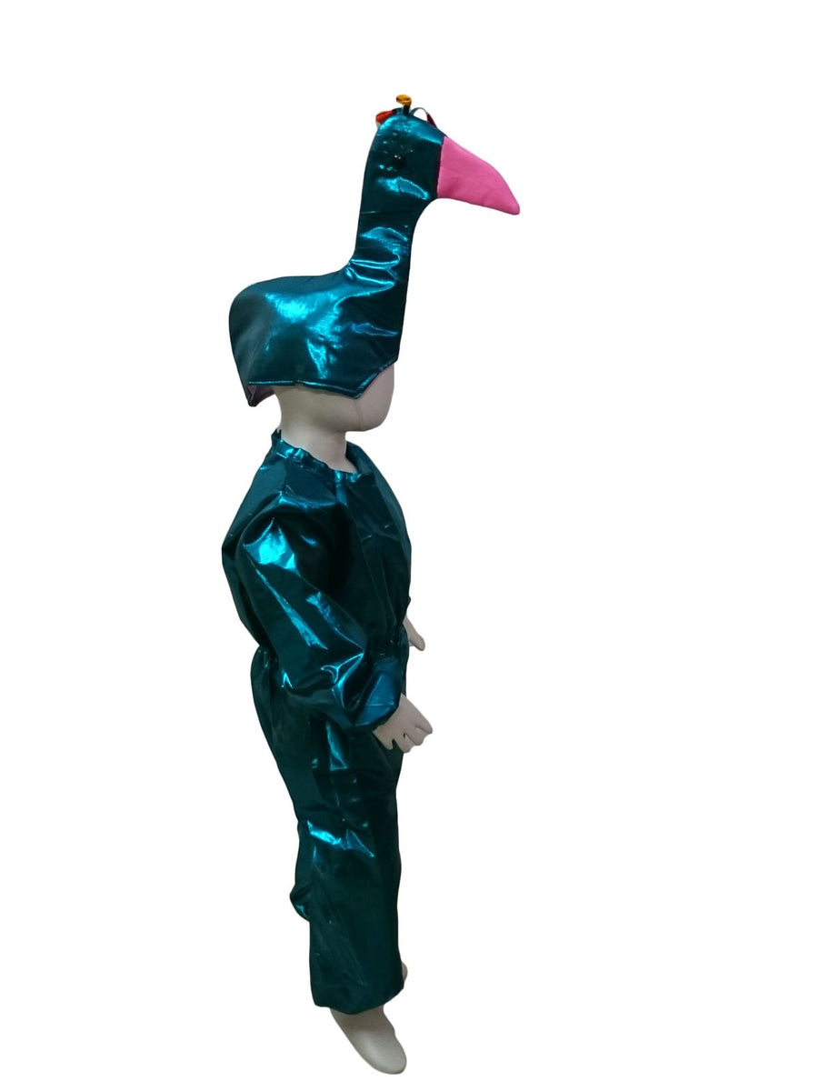 Peacock Bird Kids Fancy Dress Costume Online in India