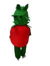 Red Apple Healthy Fruit Kids Fancy Dress Costume