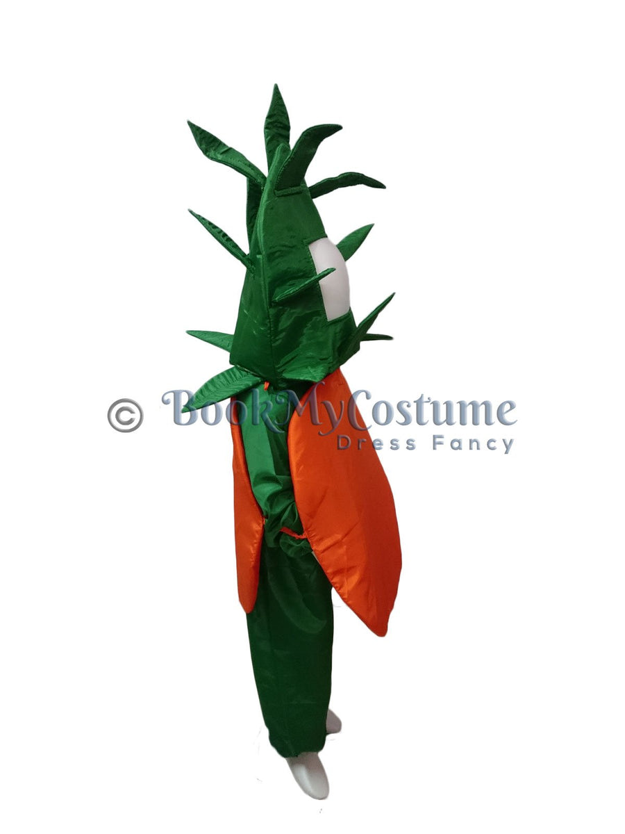 Orange Santra Kinnow Fruit Kids Fancy Dress Costume