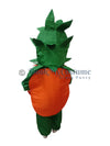 Orange fancy dress for kids