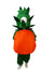 Orange Santra Kinnow Fruit Kids Fancy Dress Costume