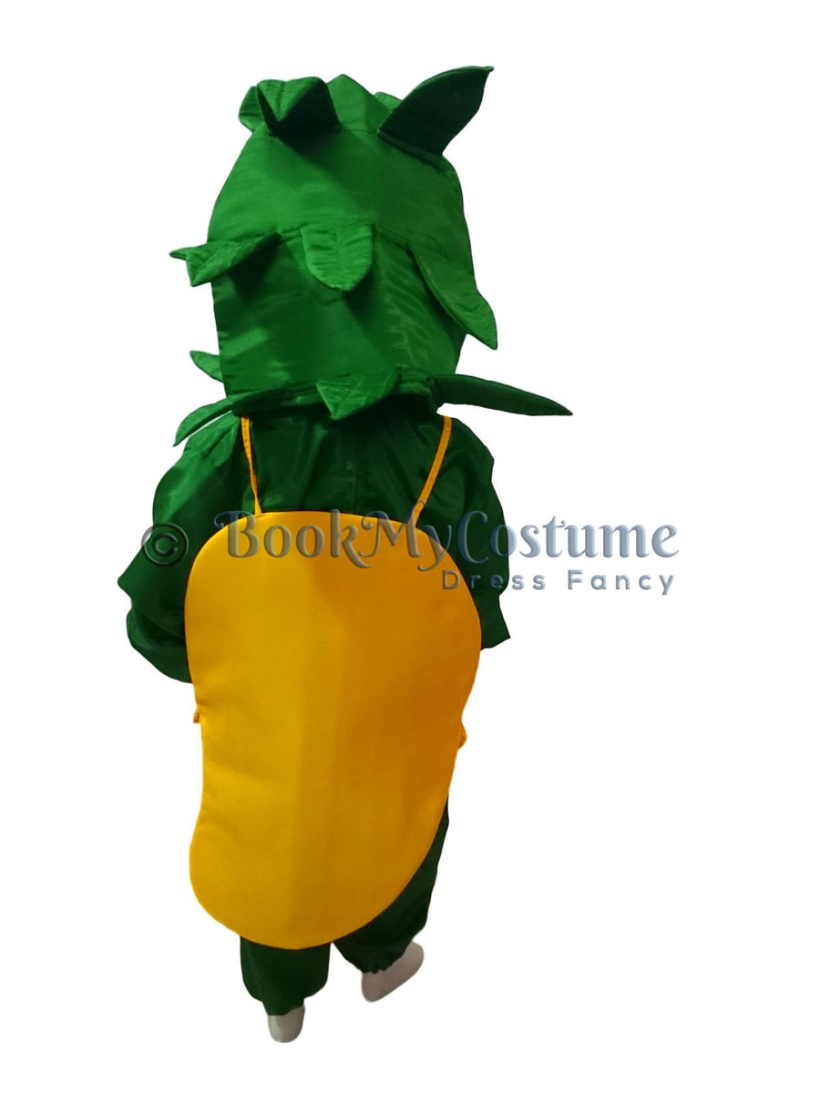 Mango Fruit Kids Fancy Dress Costume Online in India
