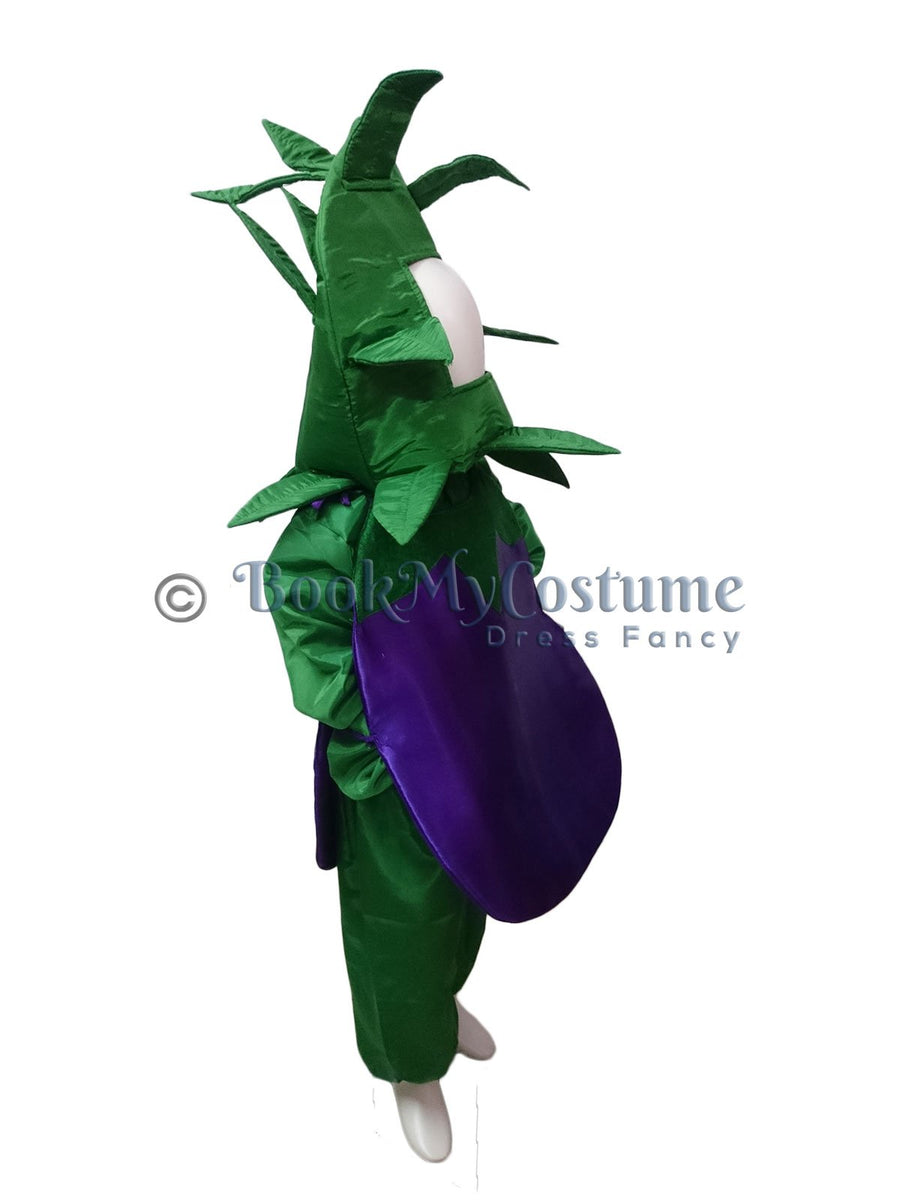 Brinjal Kids Fancy Dress Costume Online in India