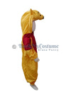 Pooh cartoon fancy dress for children