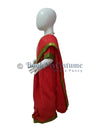 School/College Principal Professional Kids Saree Fancy Dress Costume