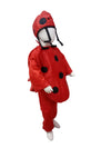 Ladybird kids Costume