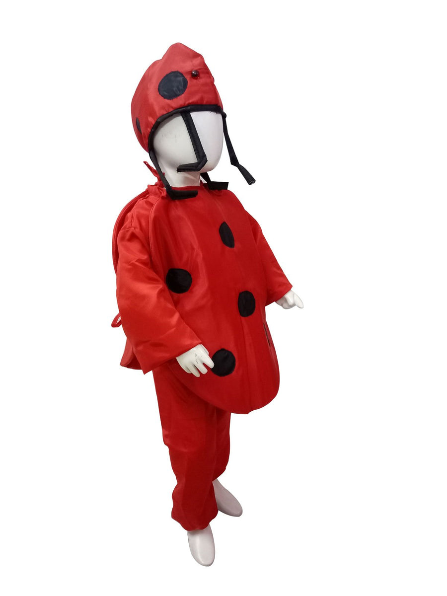 Ladybird Insects Kids Fancy Dress Costume
