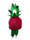 Pomegranate Anar Fruit Kids Fancy Dress Costume Online in India