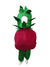 Pomegranate Anar Fruit Kids Fancy Dress Costume