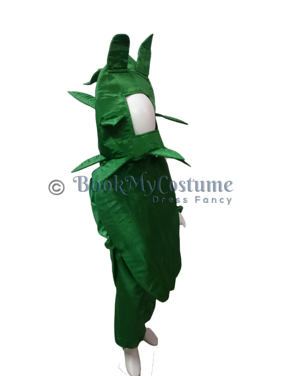 Capsicum Bell Pepper Shimla Mirch Vegetable Kids Fancy Dress Costume