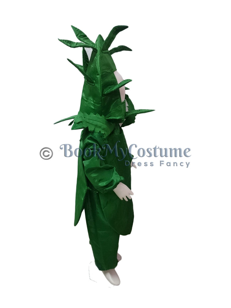 Spinach Palak Green Leafy Vegetable Kids Fancy Dress Costume