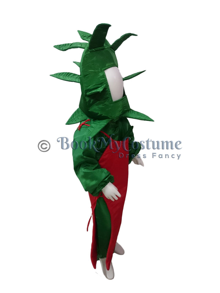 Red Chilli Lal Mirch Vegetable Kids Fancy Dress Costume