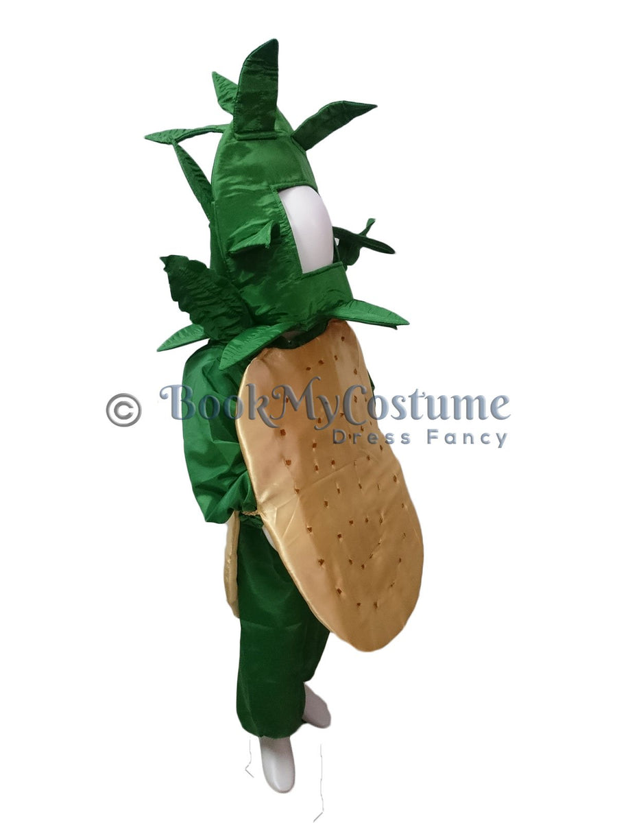Potato Aloo Vegetable Kids Fancy Dress Costume
