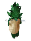 Potato fancy dress for kids