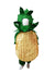 Potato Aloo Vegetable Kids Fancy Dress Costume