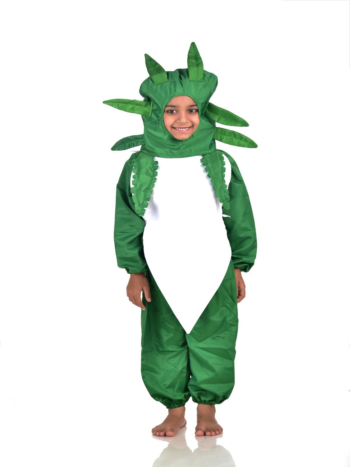 Brinjal fancy dress for kids,Vegetables Costume for School Annual function/ Theme Party/Competition/Stage Shows Dress