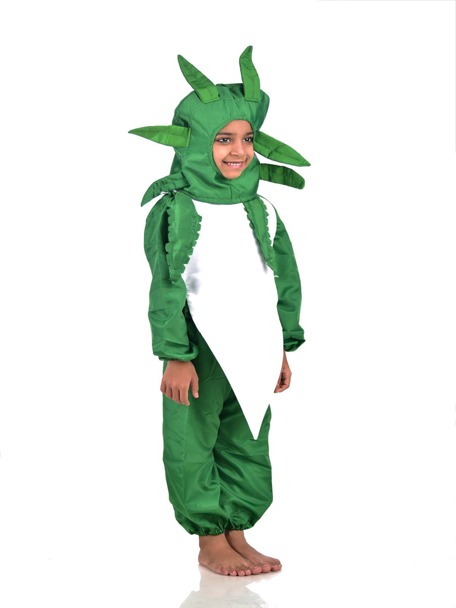 Radish Mooli Vegetable Kids Fancy Dress Costume