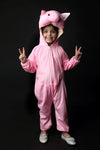 Pink Pig TV Cartoon Jumpsuit Fancy Dress Costume for Kids