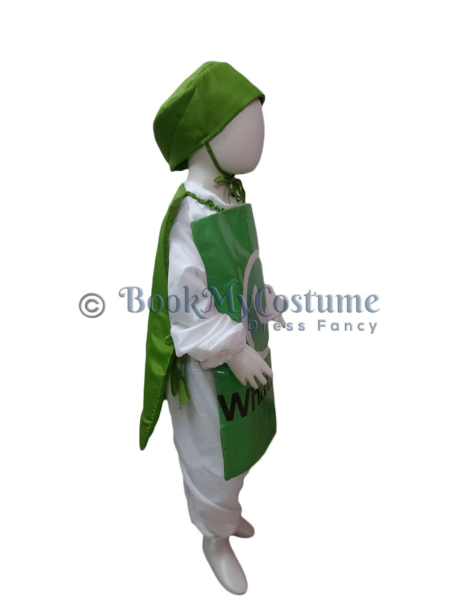 Whatsapp Social Media Technology Kids Fancy Dress Costume