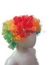 Buy Joker Clown Hair Wig & Foam Nose Unisex Adult & Kids Fancy Dress Costume Accessory