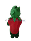 Strawberry fancy dress for kids