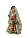 Rajasthani Indian State Fancy Dress Costume for Girls and Females