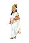 Sarasvati Mata Hindu Goddess Saree for Girls & Adults Fancy Dress Costume with Sitar