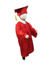 Red Graduate Scholar Fancy Dress Costume Ideas  for kids
