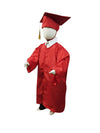 Red Graduate Scholar Costume School Fancy Dress Competition Buy & Rent