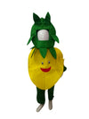 Buy & Rent Lemon Nibu Fruit Kids Fancy Dress Costume Online in India