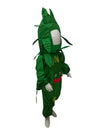 Grapes Angoor Fancy Dress Costume Ideas  for kids
