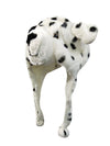 Dalmatian Dog Animal Hoodie Kids & Adults Fancy Dress Costume