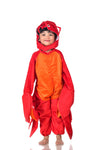 Crab Water Animal Aquatic Kids Fancy Dress Costume