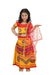 Radha Lehenga Chaniya Choli Navratri Garba Multicolor Costume Dress for Girls