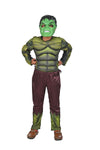 Hulk Avengers Superhero Kids Fancy Dress Costume - Muscle Look - Imported