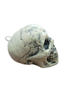 Small Skull Toy Halloween Ghost Showpiece Decoration Kids Adults Fancy Dress Costume Accessory